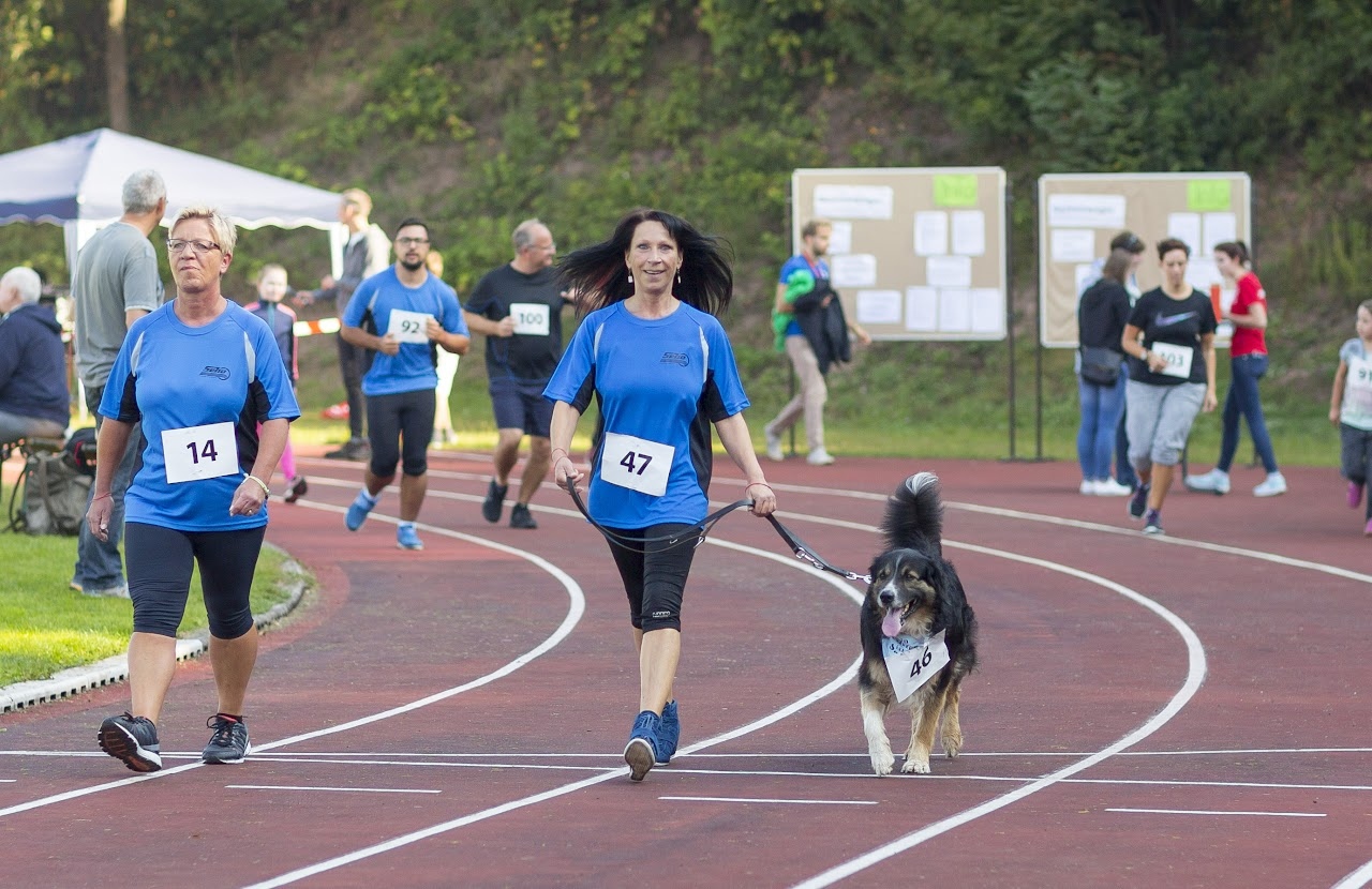 Bild vom 9. Benefizlauf im Jahr 2016. Dies ist das 87. Bild.